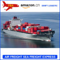 FBA DDP Sea Freight forwarder China to fba france